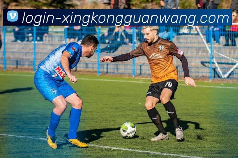 星空游戏平台生态图